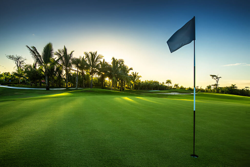 Turf Reinforcement Mesh