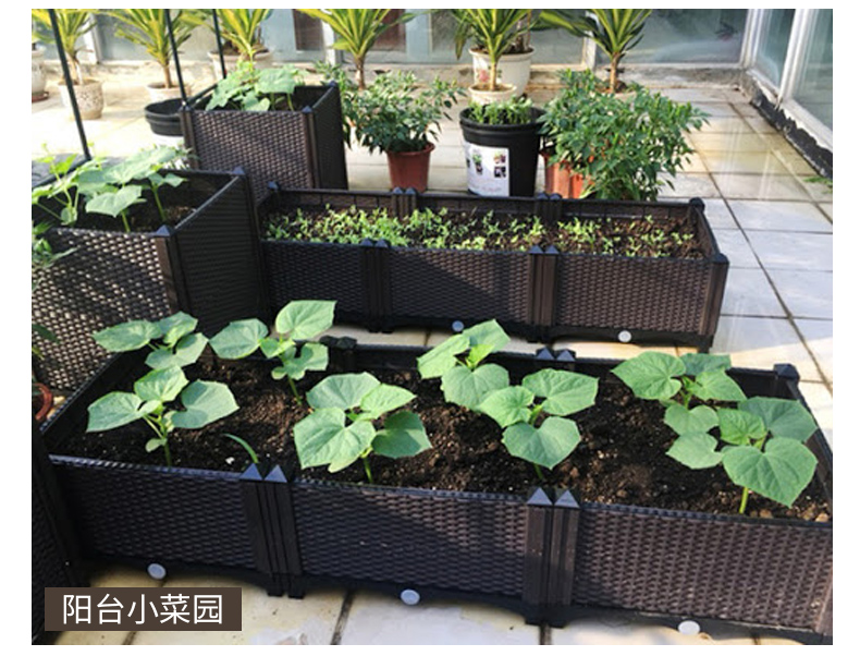 Planter pots for indoor plants