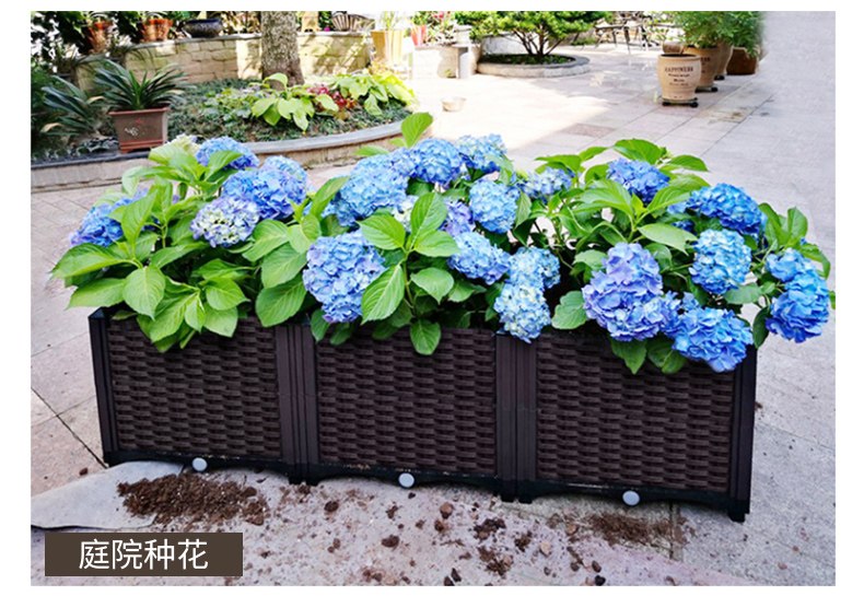 How to Choose the Perfect Planter Pot for Your Indoor Plants
