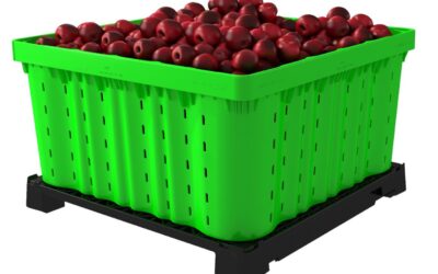 How to Build a Compost Bin Out of Pallets